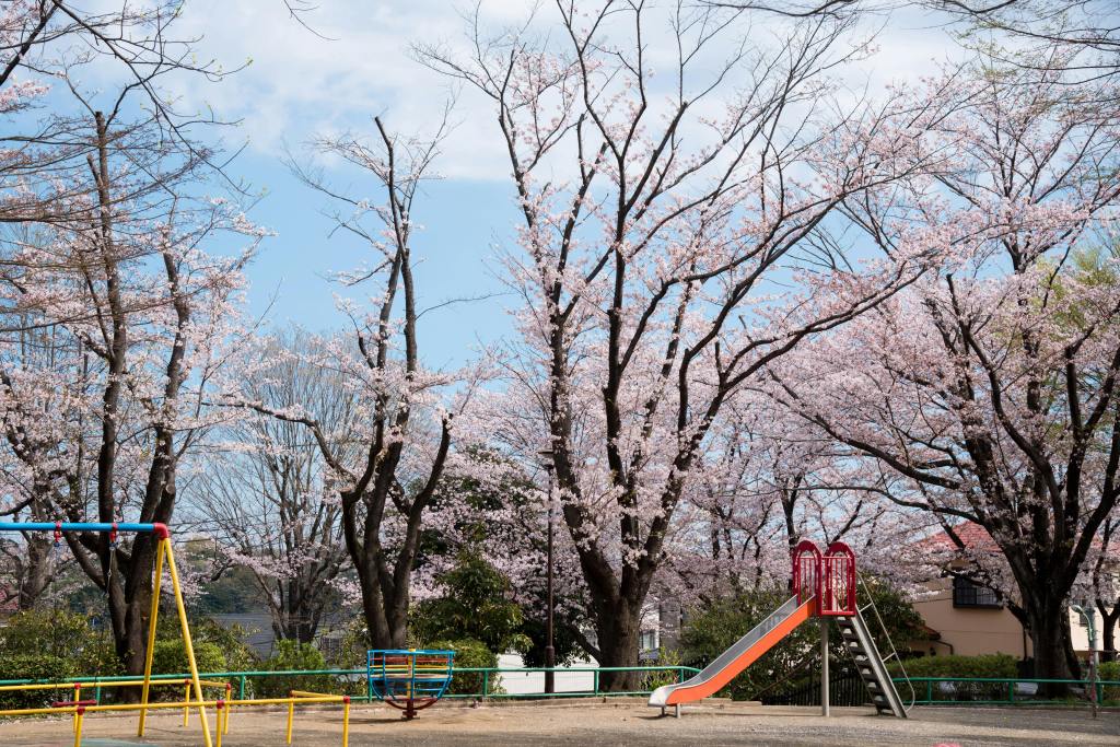 playground with slide and swings